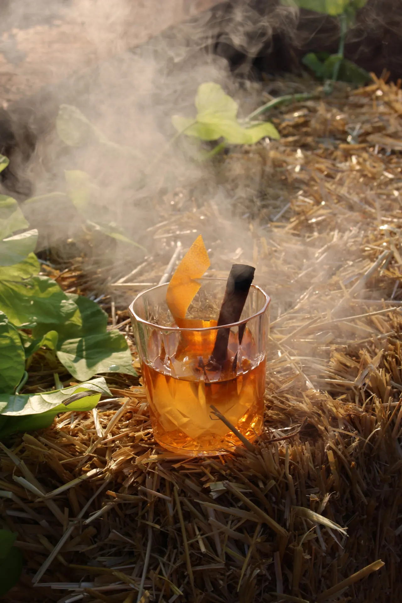 Smoked old fashioned cocktail garnished with a cinnamon stick.